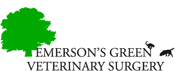 Emerson's Green Veterinary Surgery's Photo