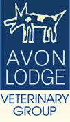 Avon Lodge Veterinary Group's Photo